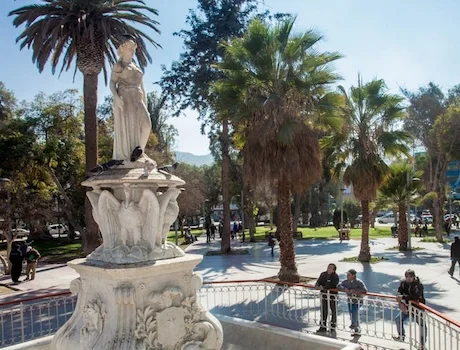 destinos detacados buses paravias coquimbo0