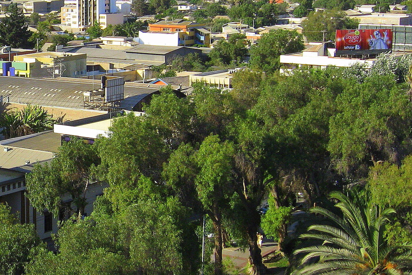 oficinas de buses setter curacavi